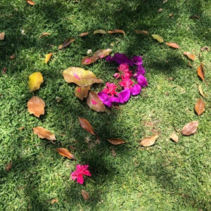 Berufung leben im Anvertrauen an deine Seele