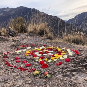 Manifestationskorrektur & Neuwahl