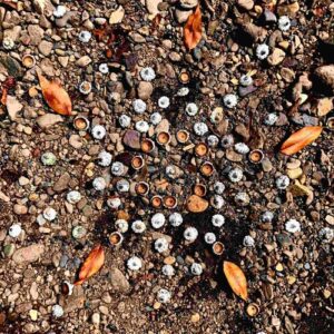 Dich informieren lassen von dem aktualisierten Feld der Erde